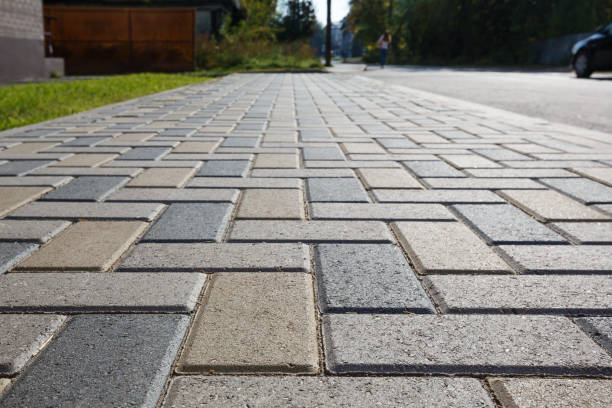 Best Driveway Paving Contractor  in Trenton, MI