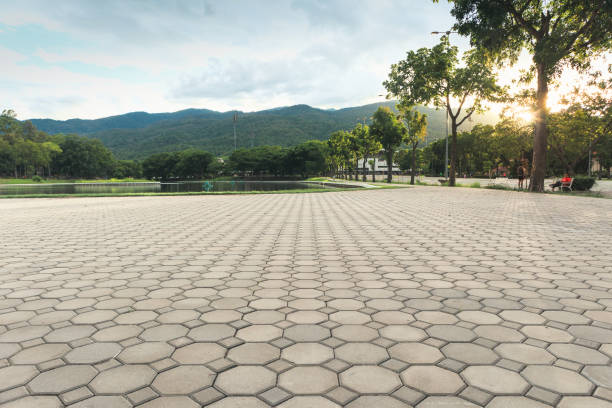 Best Best Driveway Pavers  in Trenton, MI